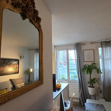 1 Minute Gare Montparnasse,center,close To Eifel Tolerance And Louvre Meusm,fantastic Place * Париж